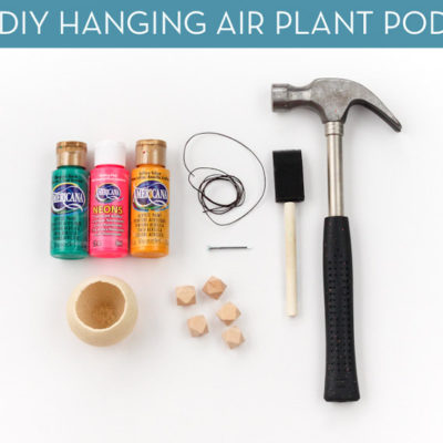 DIY Hanging Air plant Pod
