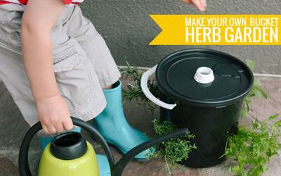 How to Make a Bucket Herb Garden