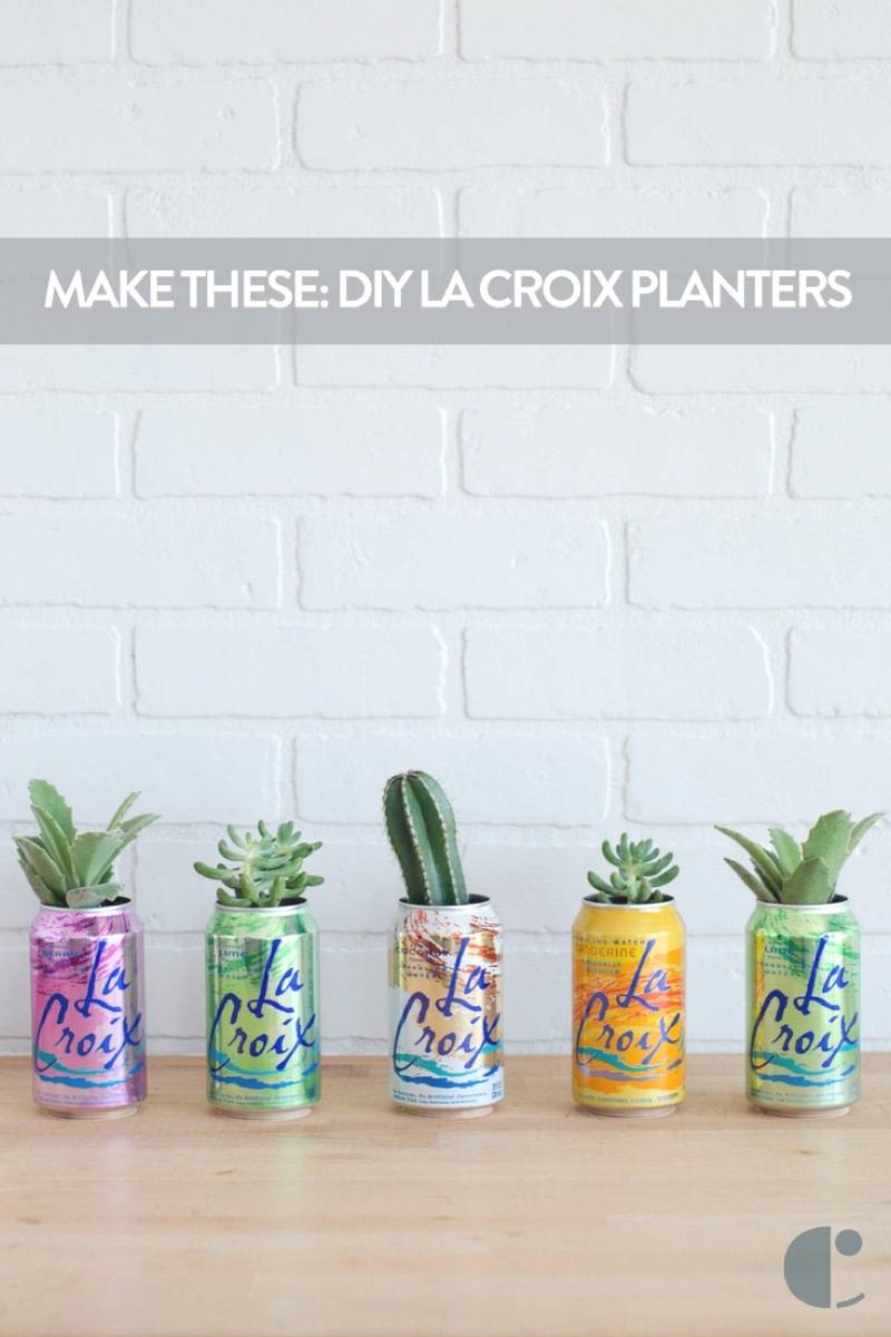 La Croix Planter DIY | Succulents + Sparkling Water = AWESOME