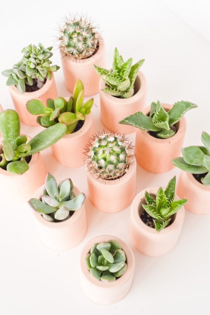 DIY Mother's Day Gift Ideas: Concrete planters