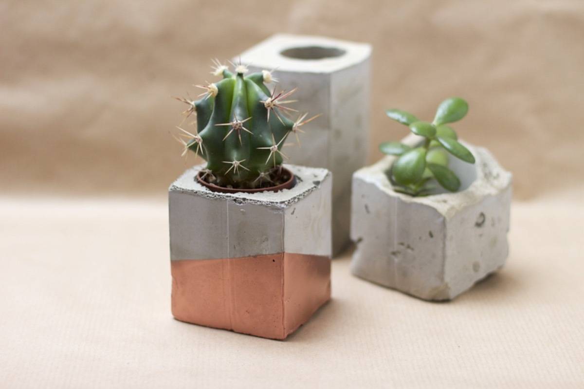 DIY Mother's Day Gift Ideas: Concrete and bronze planters