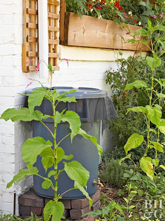 11 Eco-Friendly DIYs to Help You Create a Zero-Waste Home
