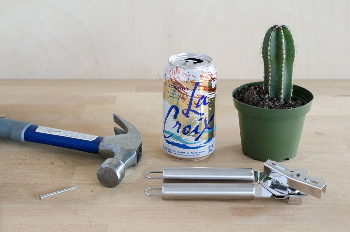 What you'll need to make La Croix planters from recycled cans