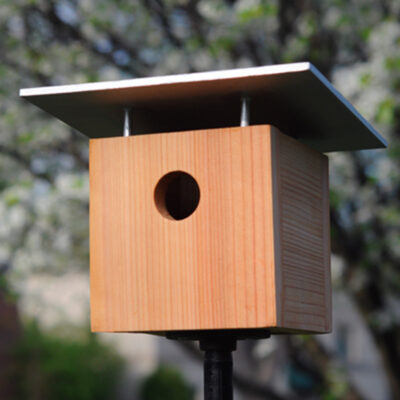 modern birdhouse