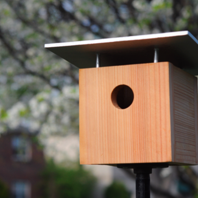 How to make a birdhouse - modern and MCM design plans
