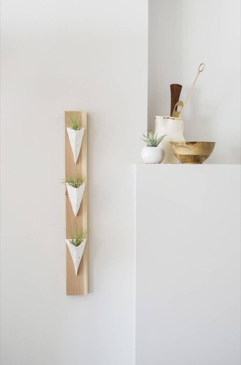 A clay and wood DIY air plant holder