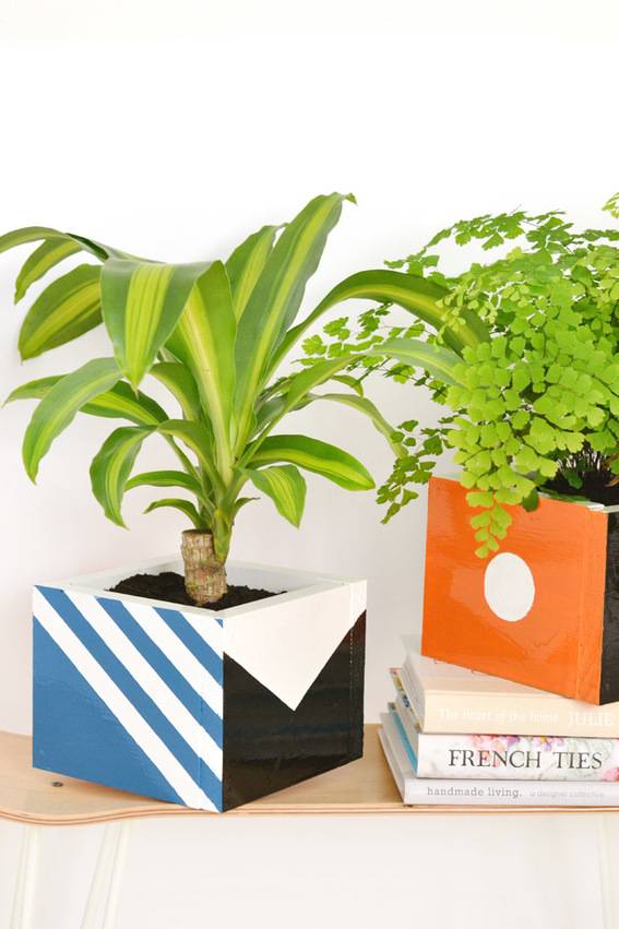 Two green plants in wooden boxes and three books lying on the table.