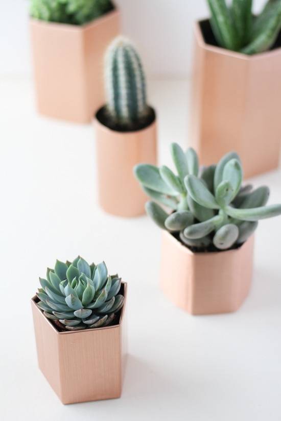 Four pentagon shaped tan small planters filled with one cactus each surround a round shaped tan small planter with a tall cactus in it.