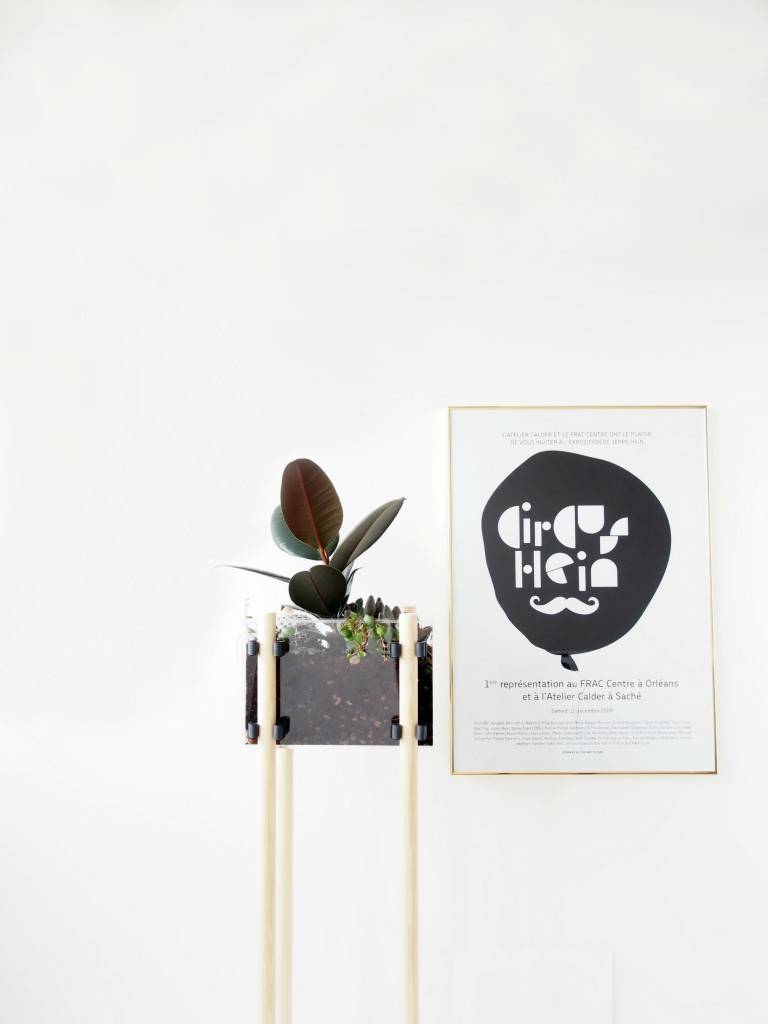 Steel box planter with spindly white legs with a broad leafed plant.