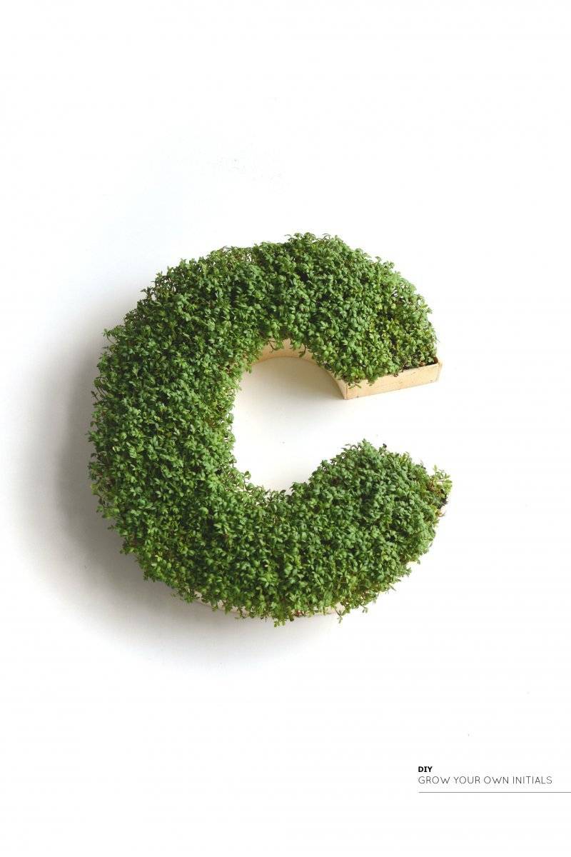 The letter c covered in greenery.