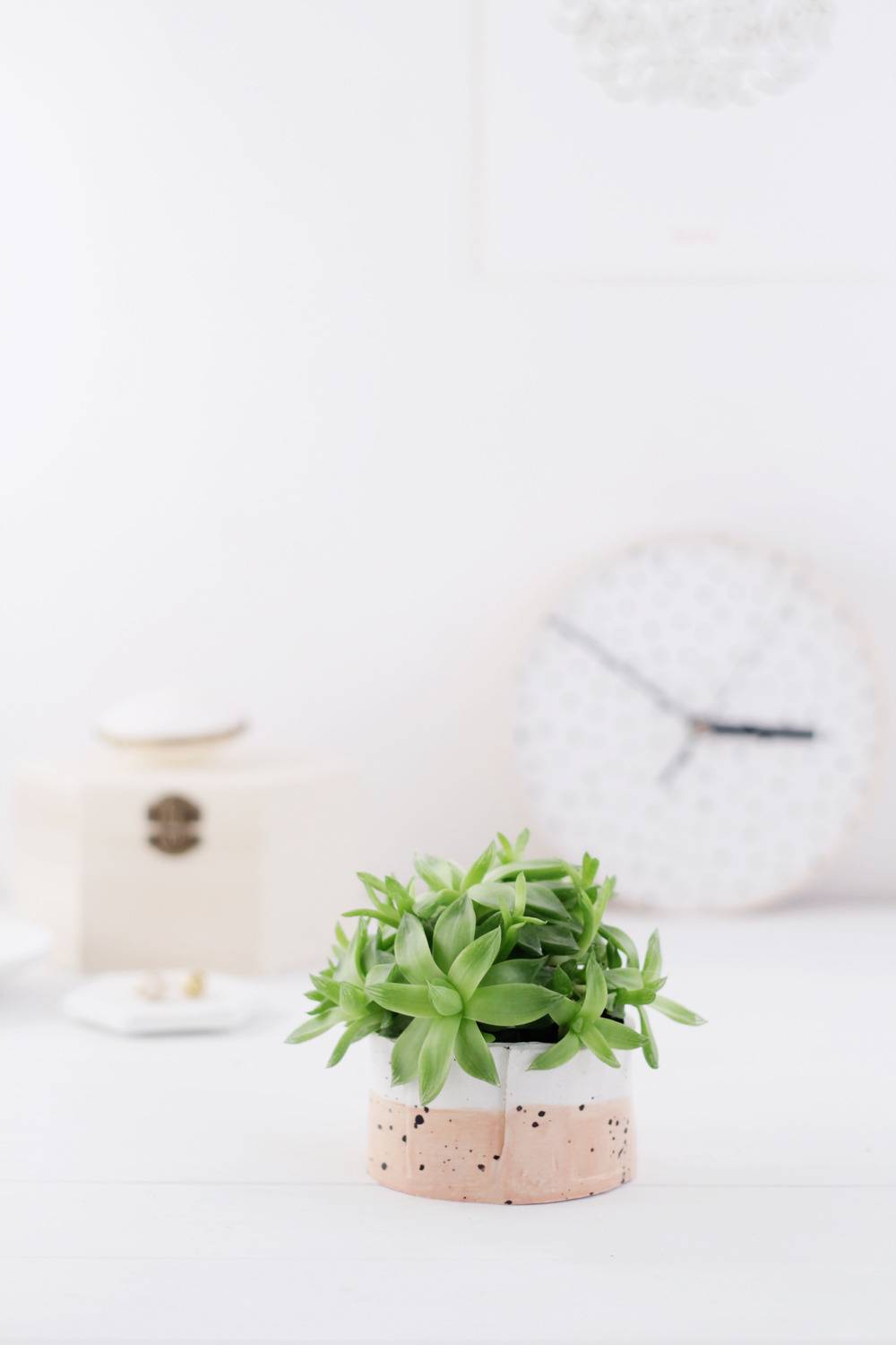 A small bleached white fabric and natural fabric planter with a small green plant sits in a white room.