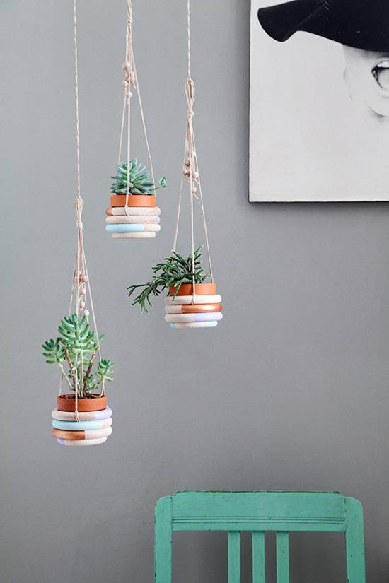 Three plants hung at different heights against a gray wall decorated with framed art.