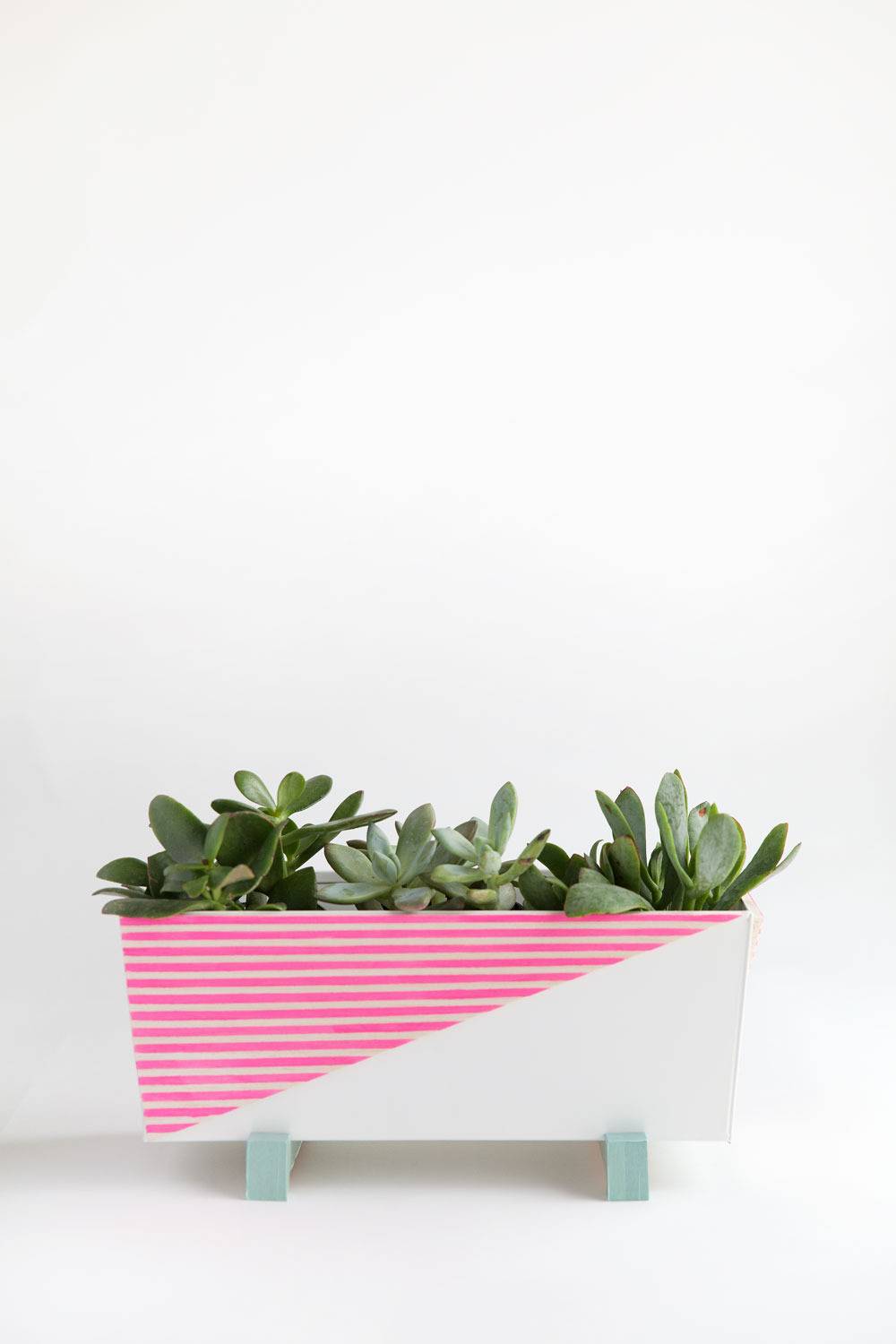 Pink stripes form a triangle on a white rectangular planter with succulents.