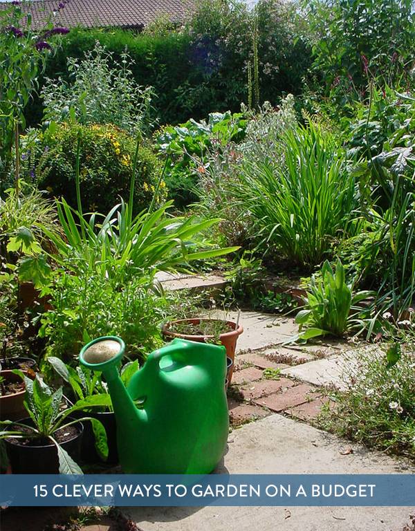 15 Clever Tips For Gardening On A Budget