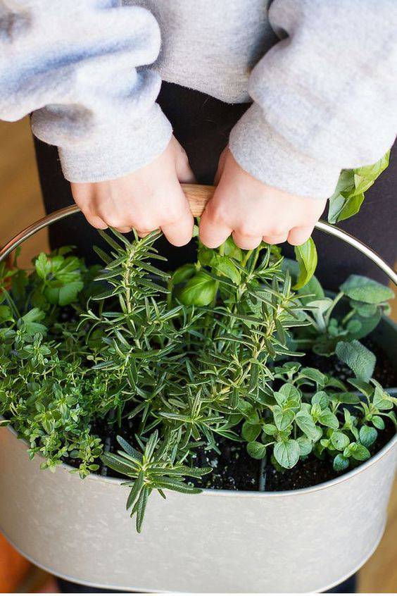 22 Creative Herb Garden Ideas