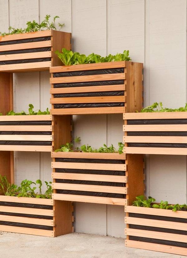 Checkerboard pattern of slat-front planter boxes filled with green plants, in front of a wall.
