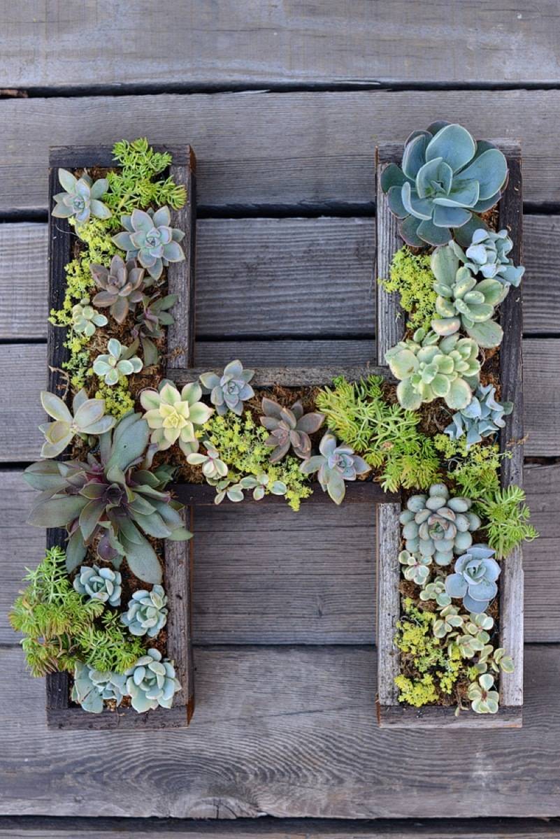 62 DIY Projects to Transform Your Backyard: Succulent letters