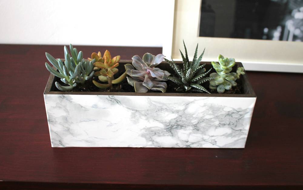 Five small succulents in a rectangular pot that looks like white marble with grey veins.