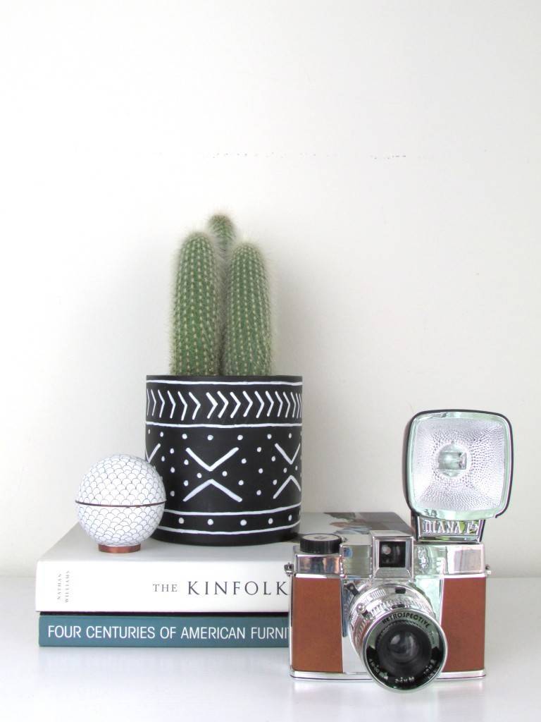 A cactus plant in a vase lying over two books near a camera.