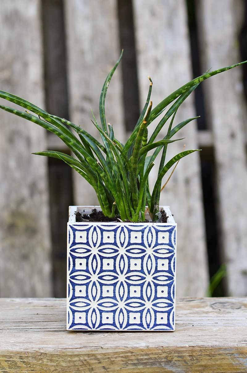 10 Gorgeous DIY Planters