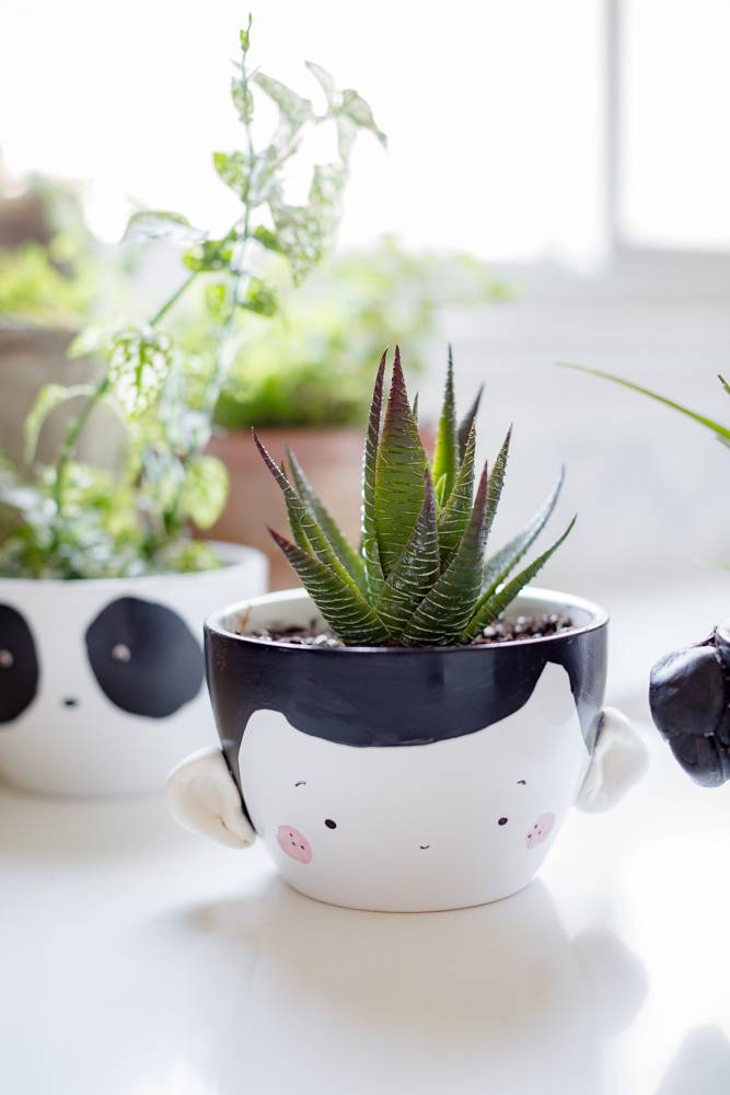 10 Gorgeous DIY Planters