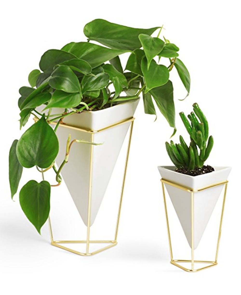 Image of modern planters