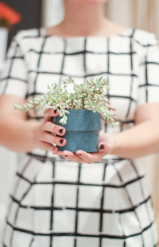 A woman holding a plant for indoor decoration