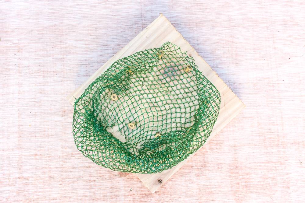 How to wall-mount plants to create a vertical garden.