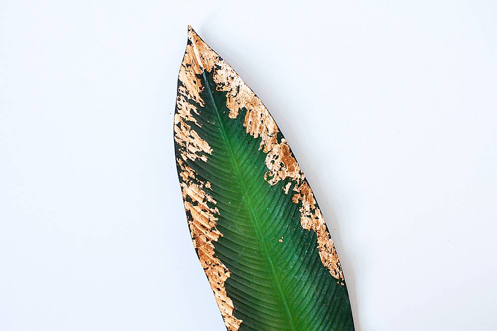 A metallic-leafed plant