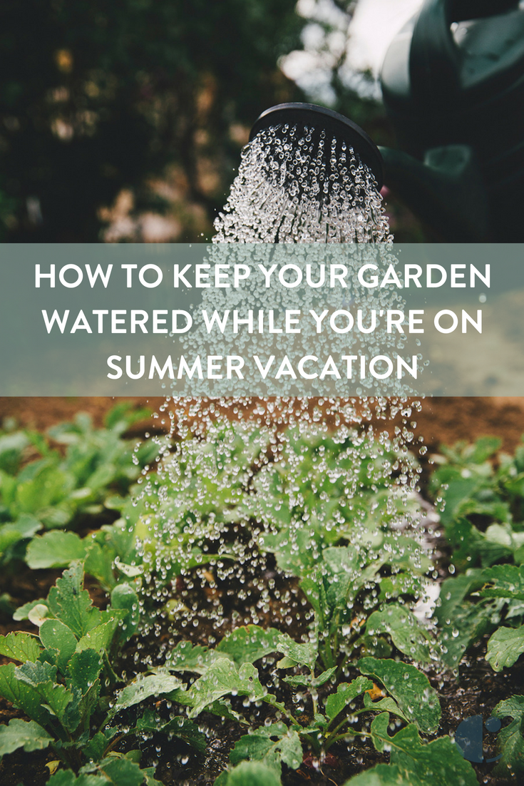 How to keep your garden watering while you're away on summer vacation