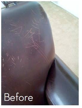 How To Fix Scratched Leather Does, Scratched Leather Couch Dog