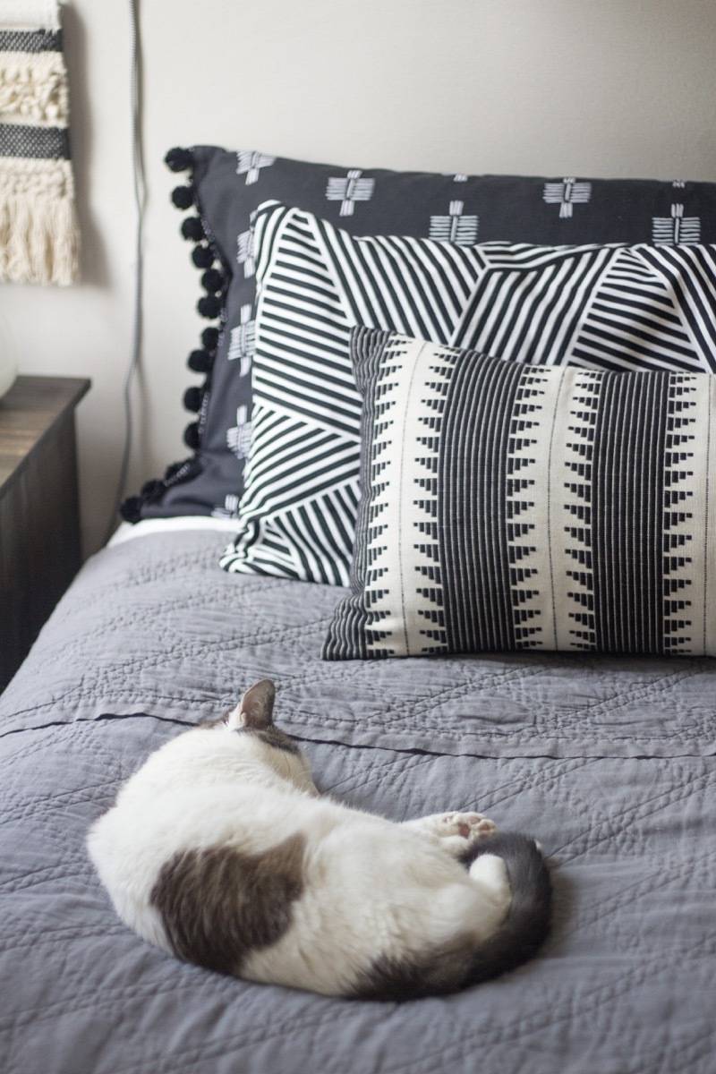 Closeup of cat in monochromatic bed