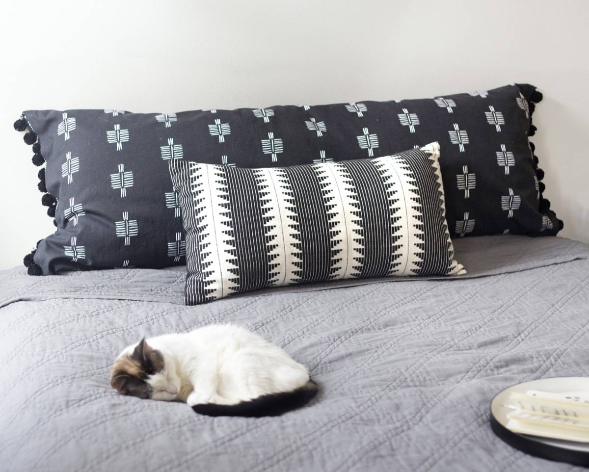 Body pillow, lumbar pillow, and cat