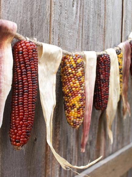 Corn and material hanging on a string near a wooden fence.