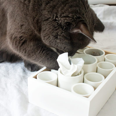 How to make a cat puzzle box