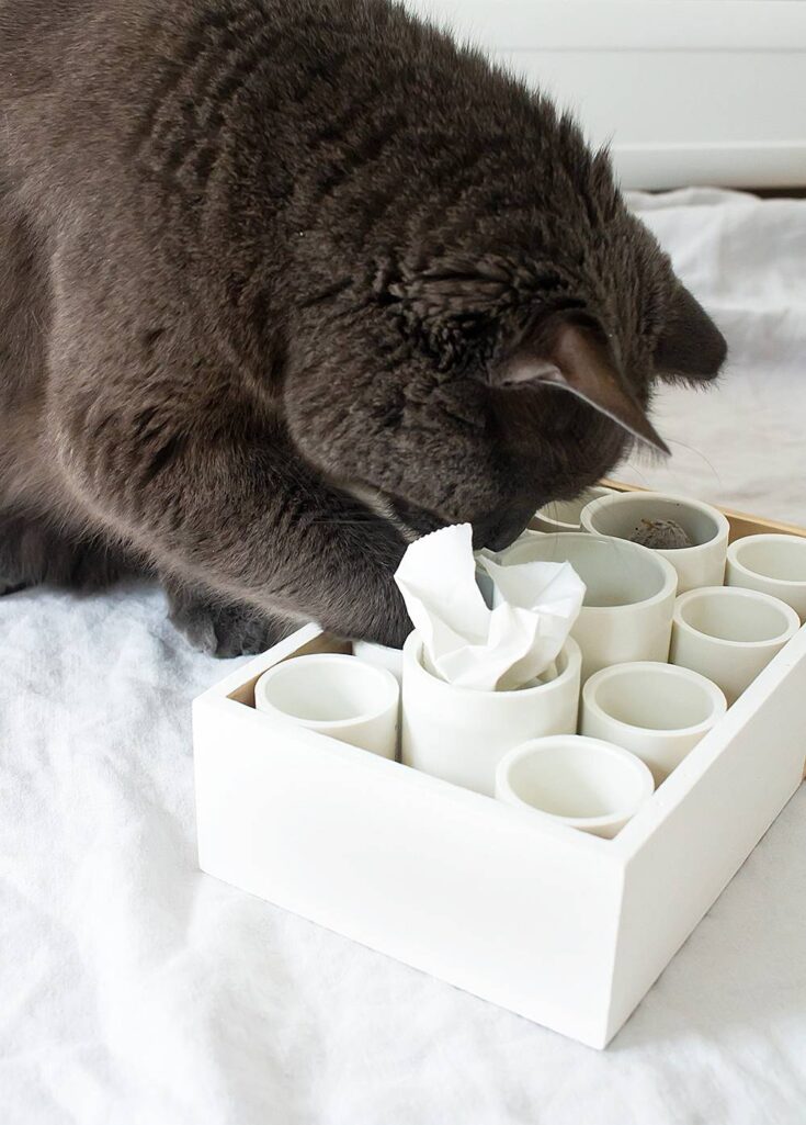 How to make a cat puzzle box