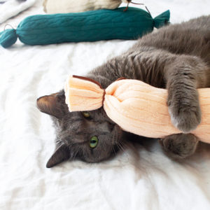 If You Make These DIY Cat Toys, You’ll Make Yours the Happiest Kitty on the Planet
