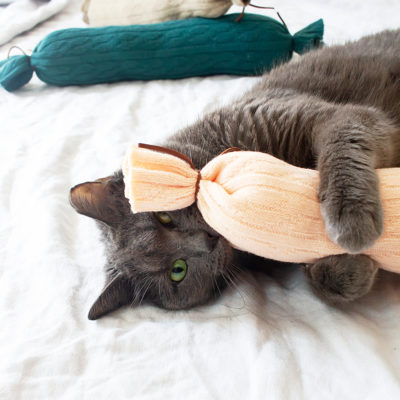 How to make easy DIY cat toys