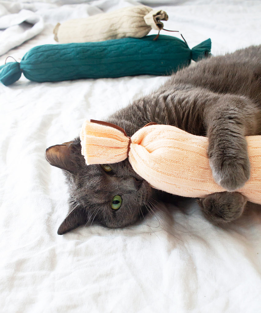 Try This: DIY Puzzle Feeders for Cats