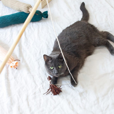 How to make a modern diy cat wand toy