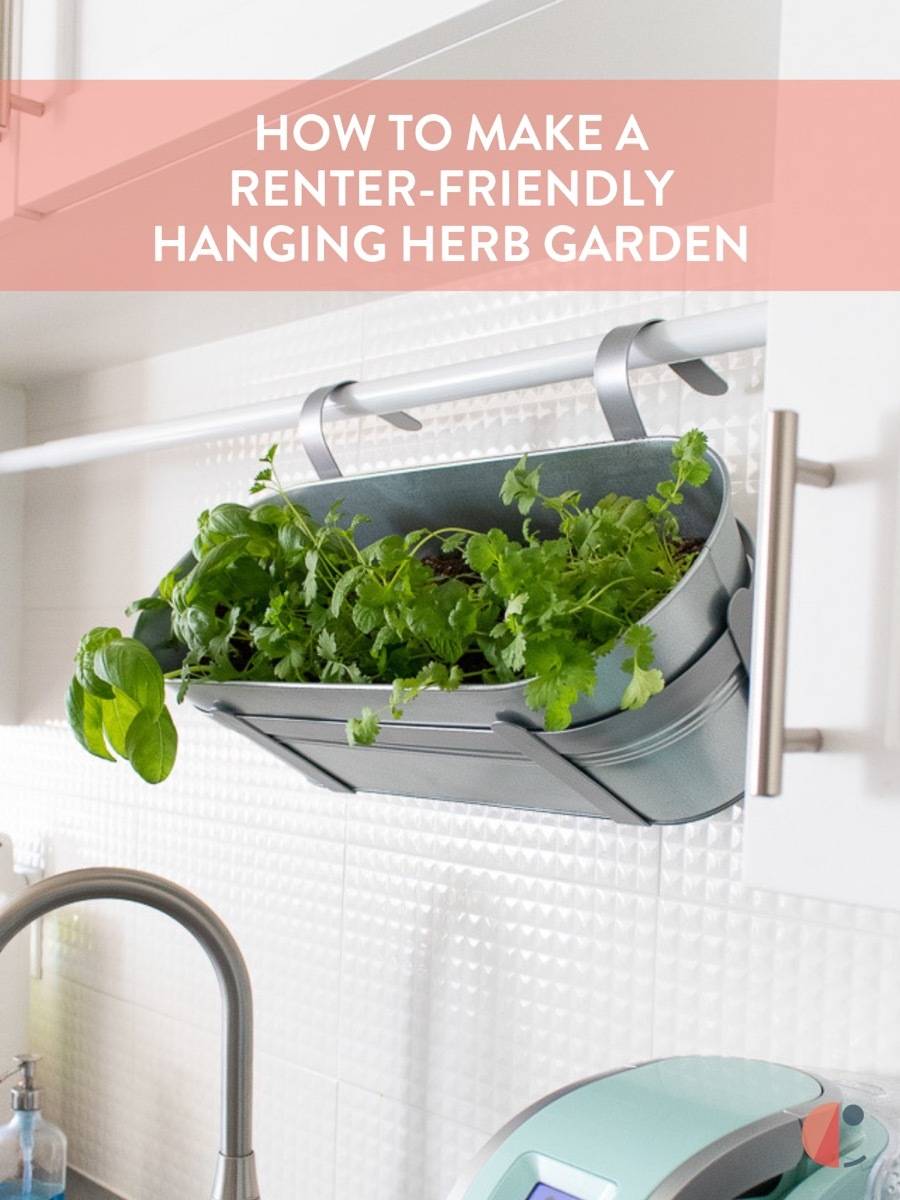 DIY hanging herb garden