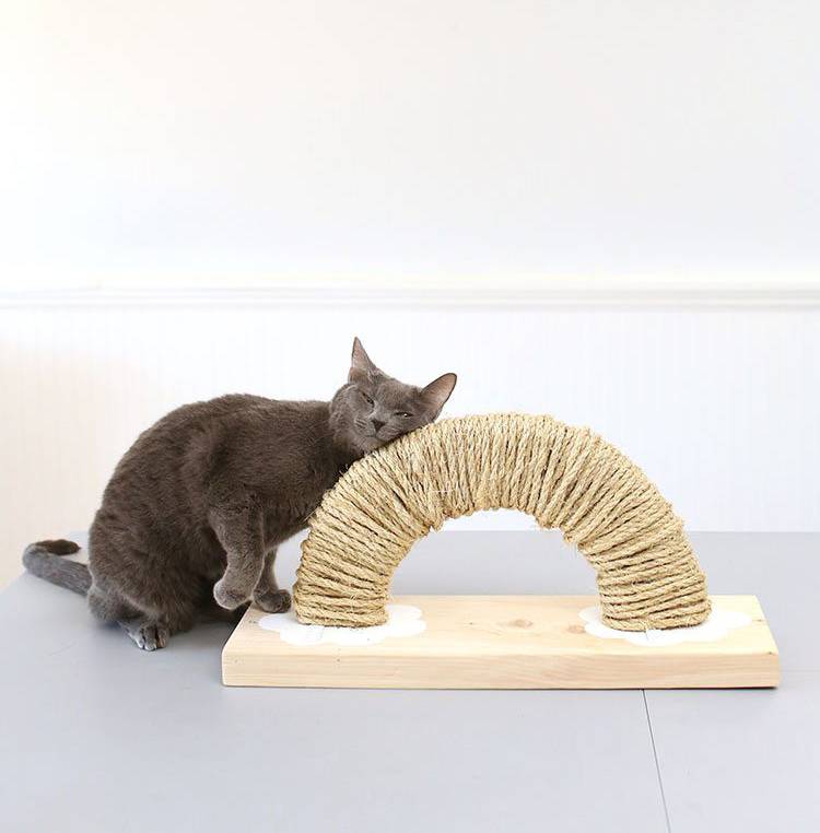 DIY rainbow cat scratching post