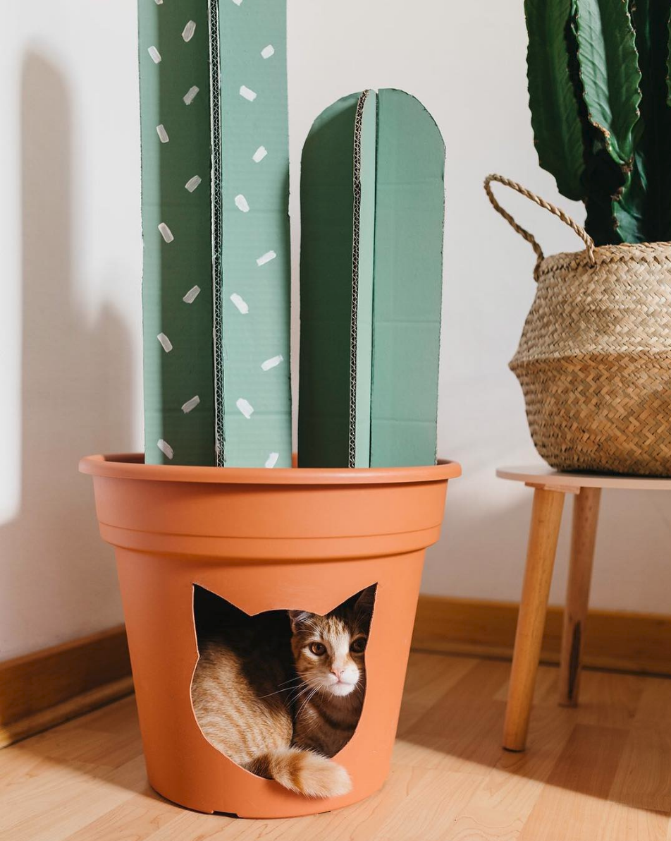 Make a faux cactus cat house