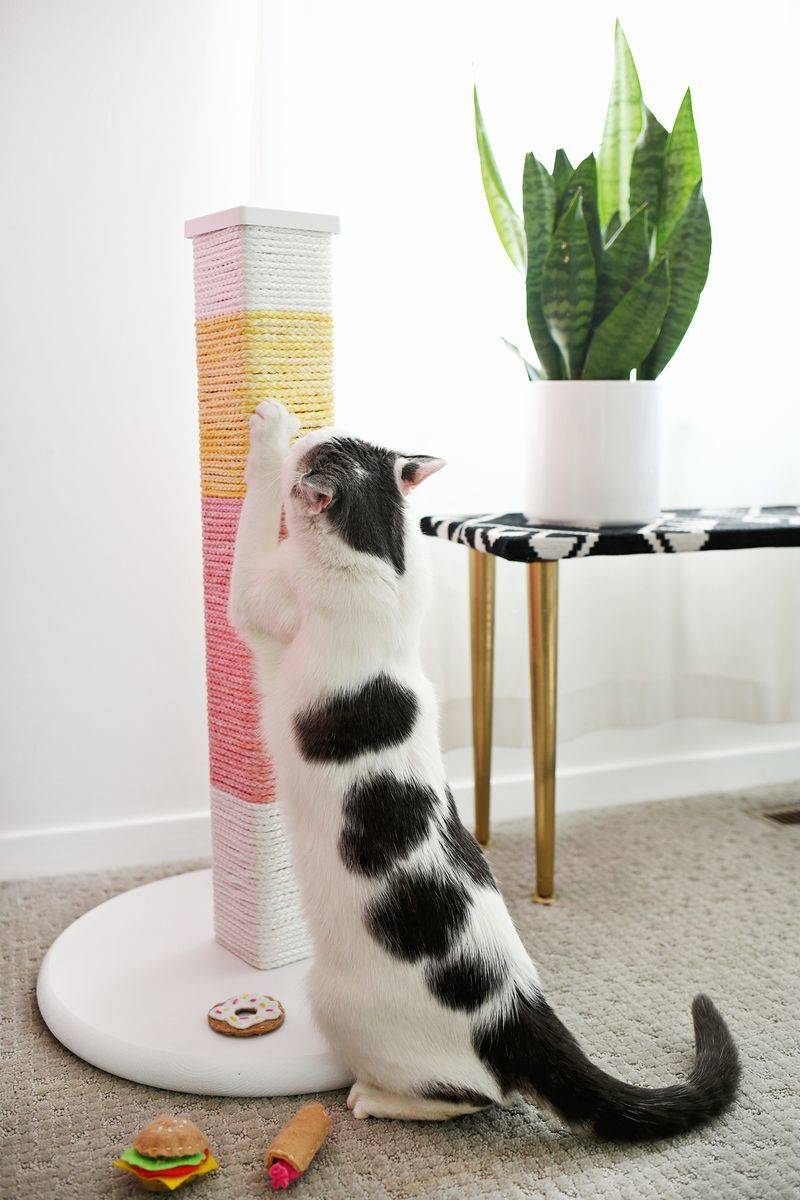 DIY Colorblocked Cat Scratching Post