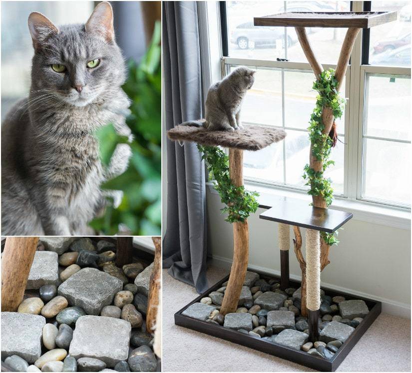 DIY cat tree with real branches