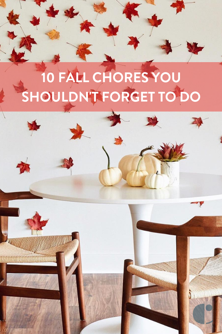 Fall chores you shouldn't forget to do