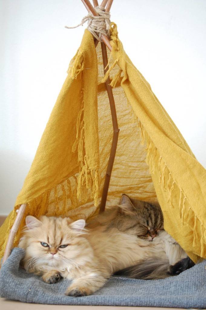 how to make a free DIY cat tent