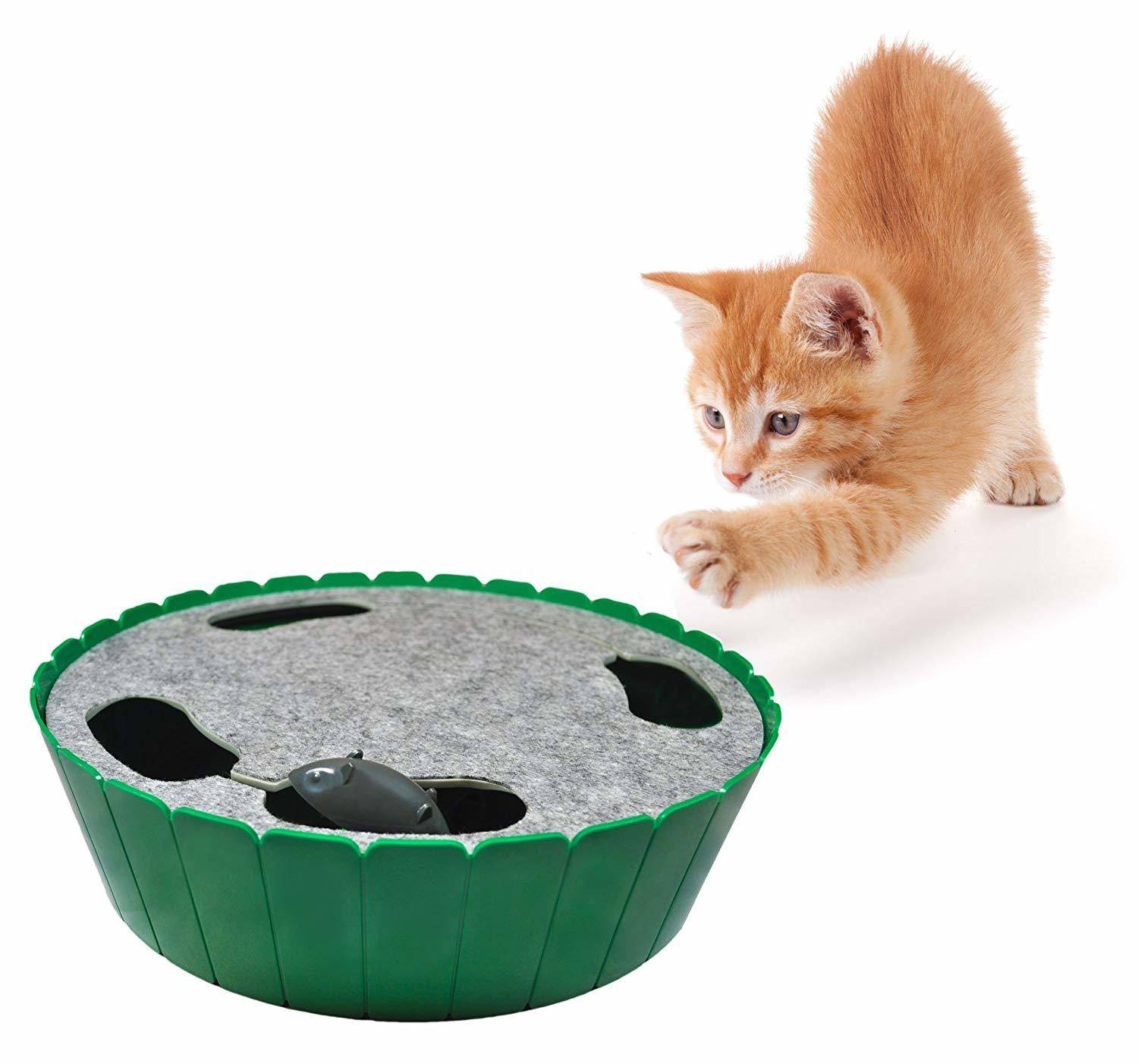 Purrfect Feline Cat Toy