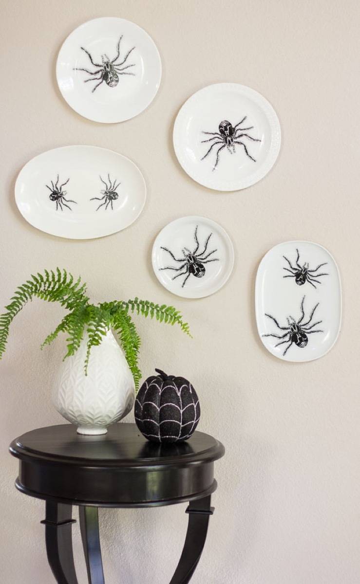 Spider decals on plates