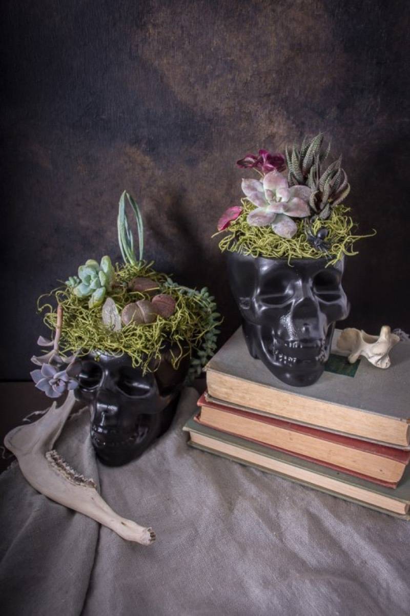 Skull planters